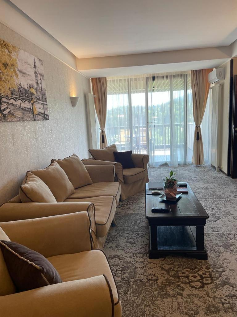 Apartament Executive Vedere Munte Alpin Resort Poiana Brasov Buitenkant foto