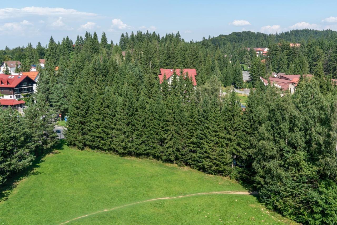 Apartament Executive Vedere Munte Alpin Resort Poiana Brasov Buitenkant foto